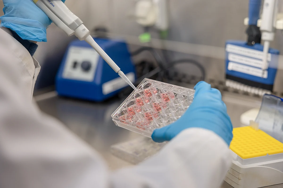 Abu Dabi Araştırmacıları Daha iyi Kanser Tespiti ve Tedavisi için Nanoteknoloji Geliştiriyor