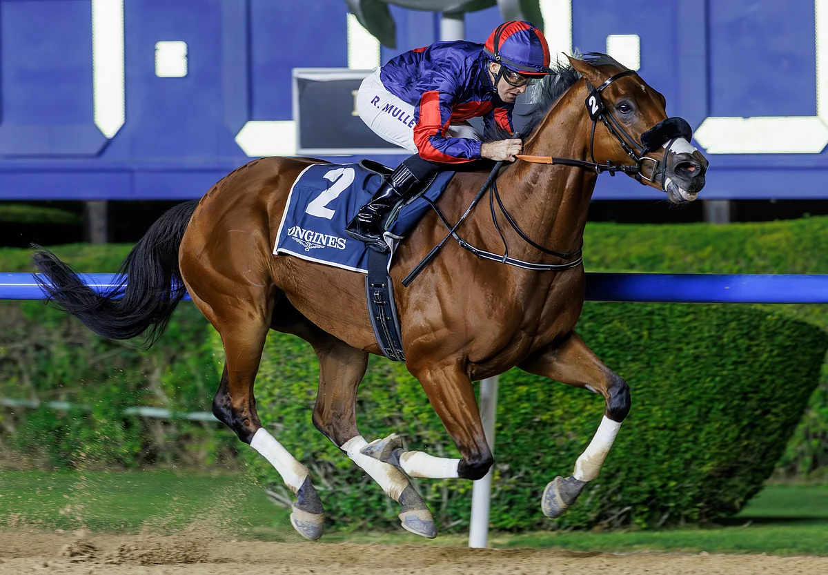 Moda Cuma Meydan Karnavalı'nda Dubai Dünya Kupası ve Kentucky Derby Hayallerini Ateşledi