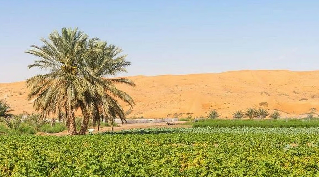 BAE Farm Stay Kiralama Fiyatları Ramazan Bayramı Tatili Öncesinde Neredeyse İki Katına Çıktı