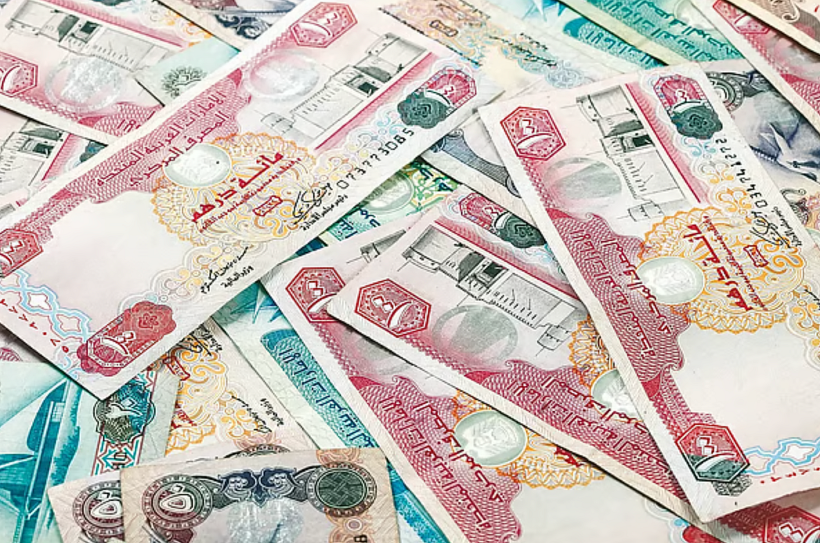 BAE'den Pakistan'a Havaleler Küresel Belirsizliğin Ortasında Sabit Kalacak: Resmi