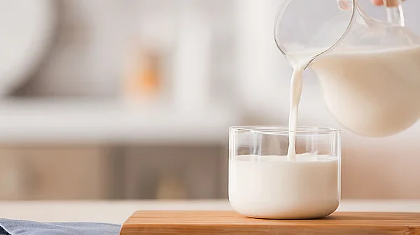 BAE, Pastörize Deve Sütü için İlk Uluslararası Standardı Geliştirecek
