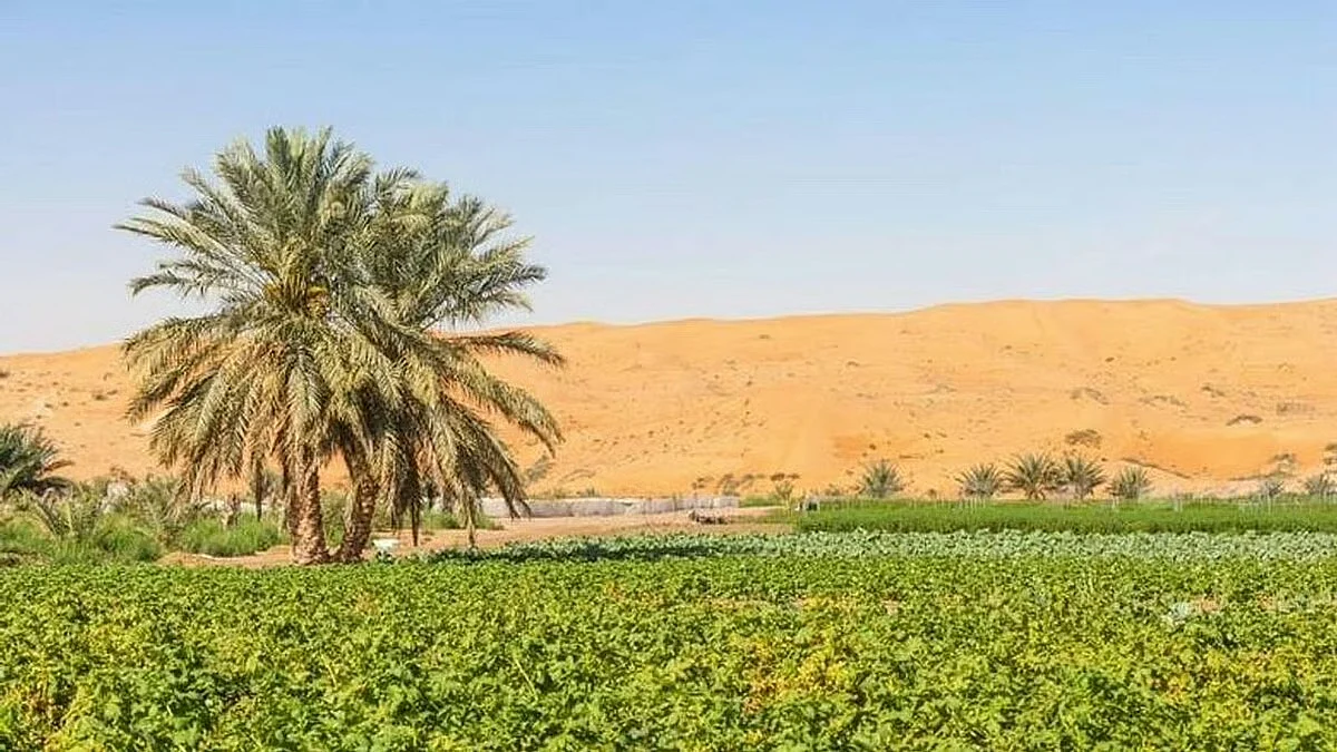 Sharjah, İzinsiz Faaliyetleri Engellemek için Çiftlik Denetimlerini Hızlandırdı