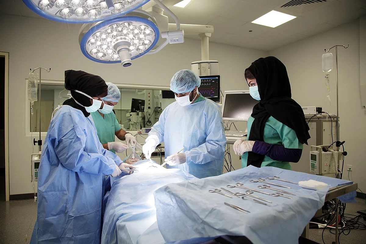 Yeni BAE Kılavuzları, Tıp ve Hemşirelik Öğrencileri için Klinik Eğitimi Güçlendirmeyi Amaçlıyor