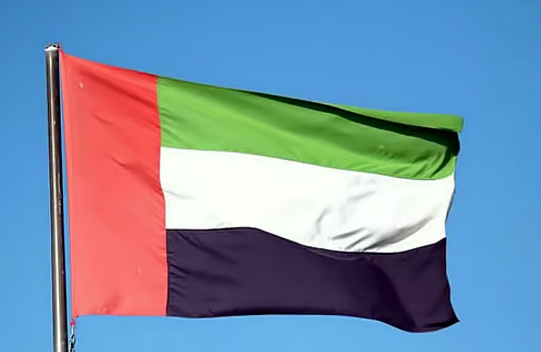 BAE'deki Pakistan Misyonları Konsolosluk Hizmetlerini 3 Mart'a Kadar Askıya Aldı